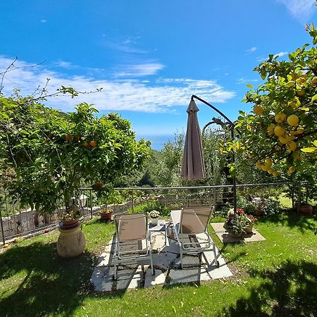 Florinda Lemon'S Suite Cervo Εξωτερικό φωτογραφία