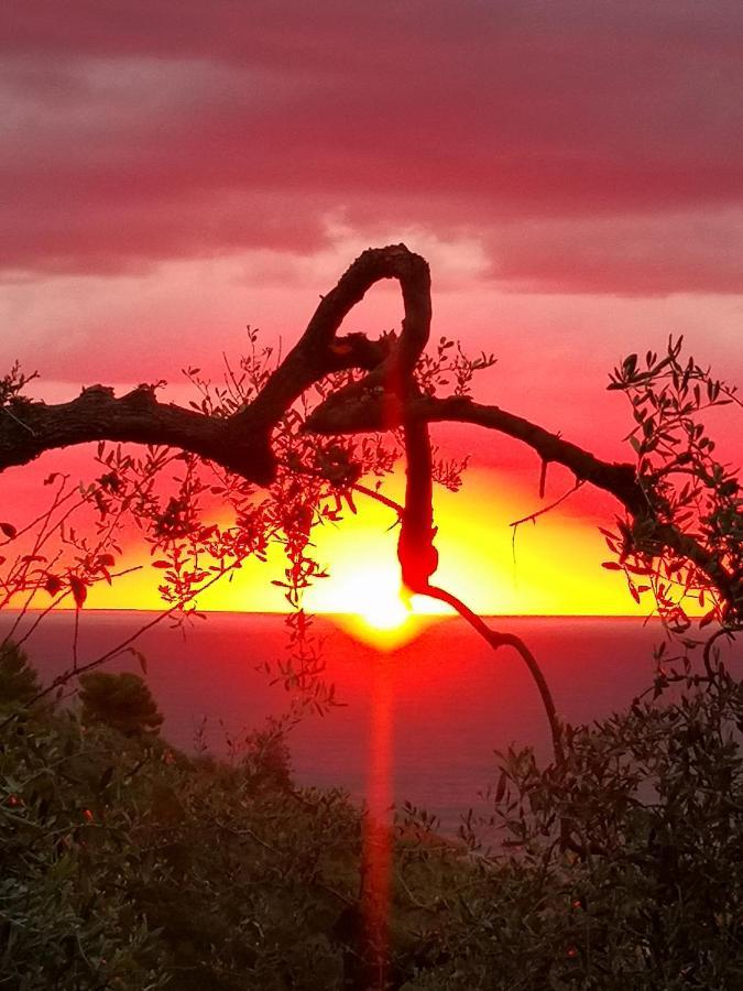 Florinda Lemon'S Suite Cervo Εξωτερικό φωτογραφία