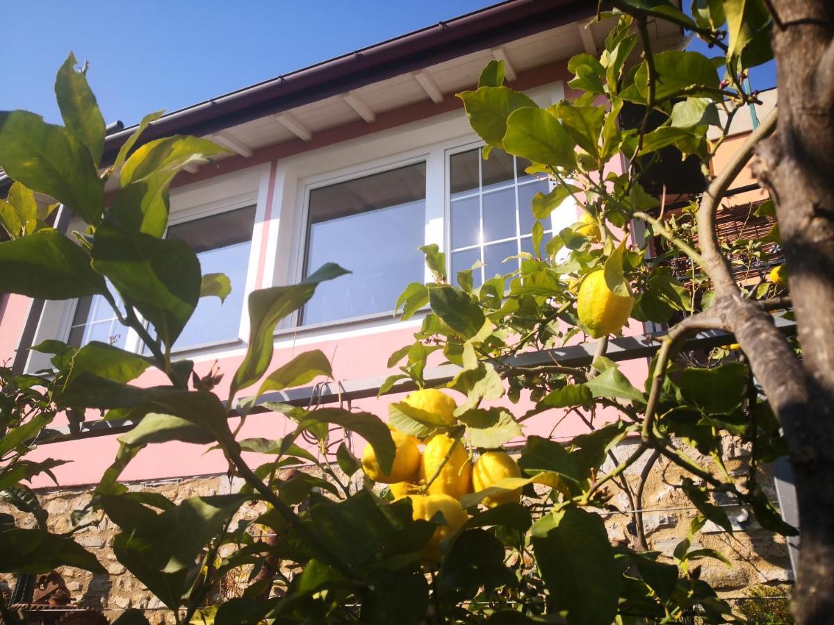 Florinda Lemon'S Suite Cervo Εξωτερικό φωτογραφία
