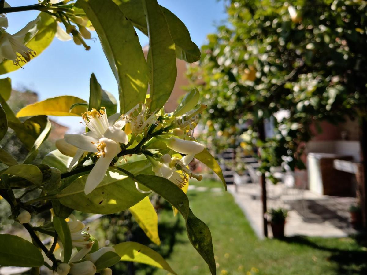 Florinda Lemon'S Suite Cervo Εξωτερικό φωτογραφία