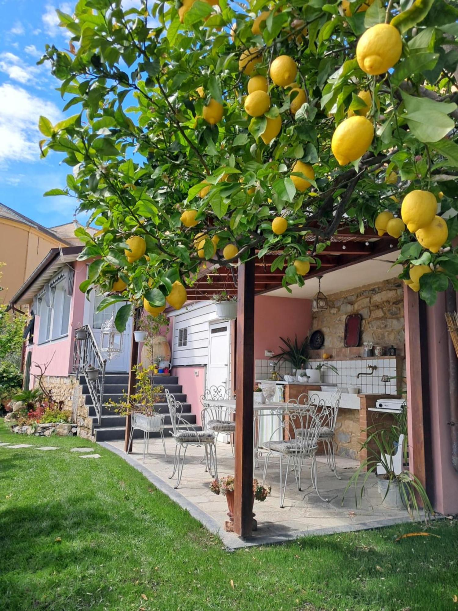 Florinda Lemon'S Suite Cervo Εξωτερικό φωτογραφία