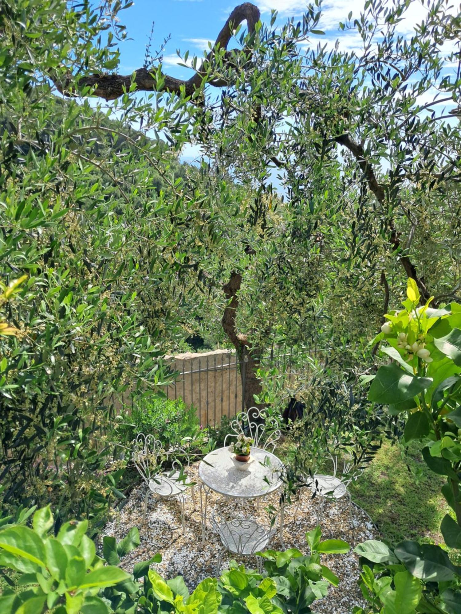 Florinda Lemon'S Suite Cervo Εξωτερικό φωτογραφία